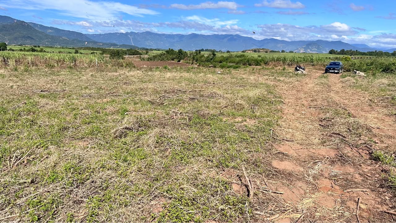 Đất nền Ninh Sơn 1000m² giá 125 triệu - Sổ đỏ chính chủ, đầu tư sinh lời!