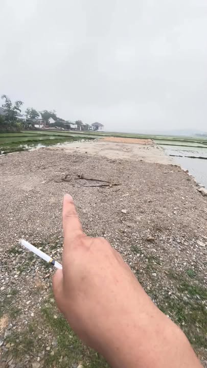 Đất thổ cư đường tỉnh 538D, xã Lý Thành, 200m² chỉ 2 tỷ - Cơ hội đầu tư tuyệt vời!