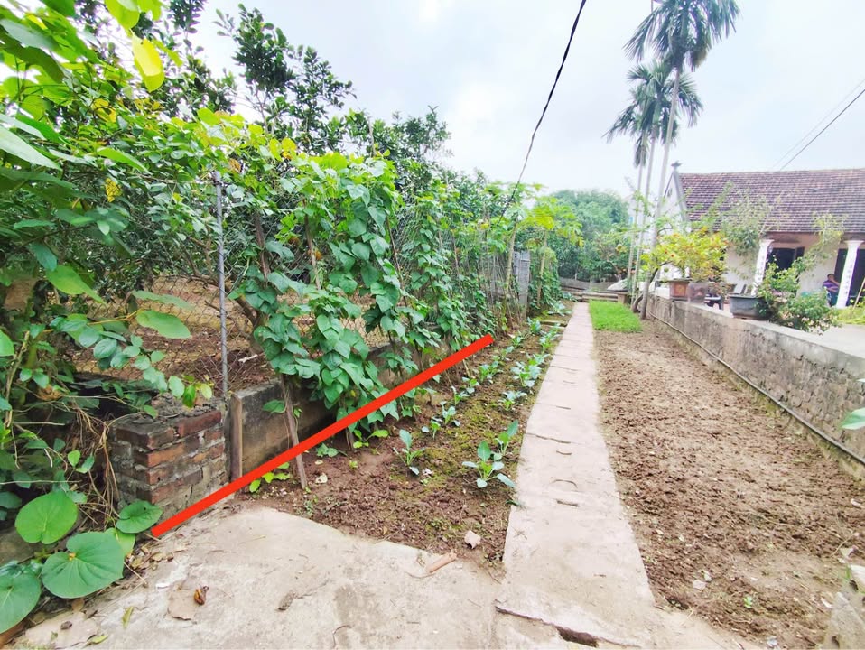 Đất nền Hoàn Long Hưng Yên 123m² giá 2x triệu - Đầu tư sinh lời lý tưởng!