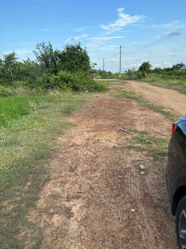 Bán đất lúa 720m² tại Thuận Hòa, Hàm Thuận Bắc - Giá chỉ 450 triệu!