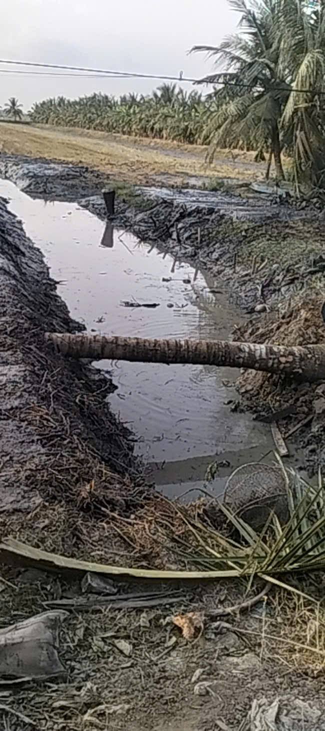 Đất nông nghiệp 1 hecta tại Vĩnh Hòa Hiệp, Kiên Giang - Pháp lý rõ ràng, giá thỏa thuận!