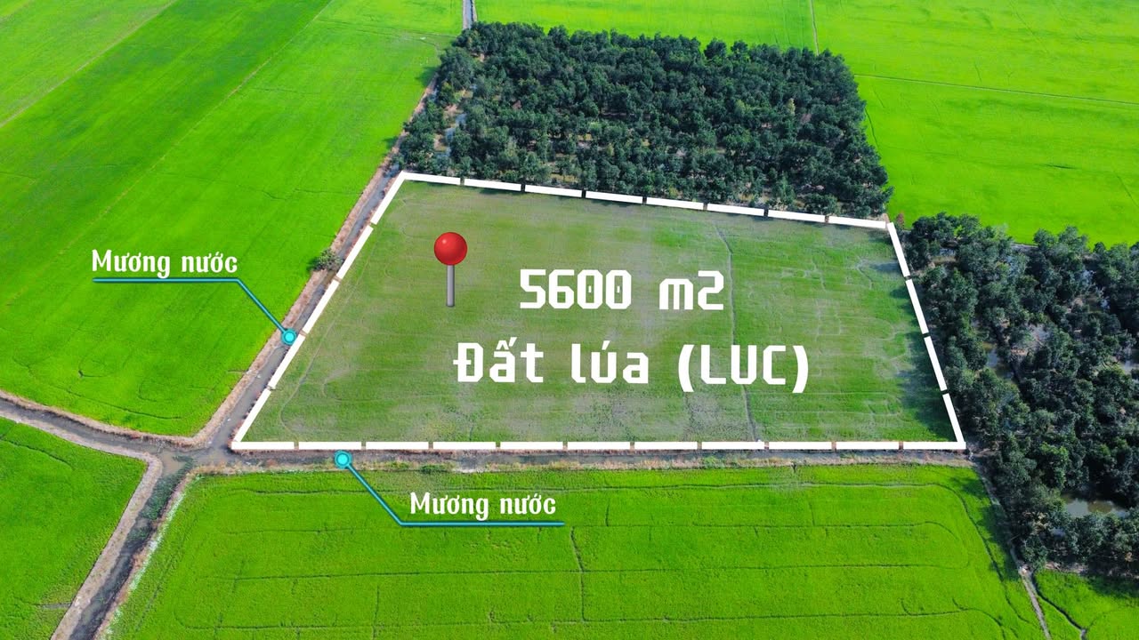 Đất LUC 5600m² tại Xã Mỹ Đức - Giá chỉ 728 triệu - Đầu tư lý tưởng!