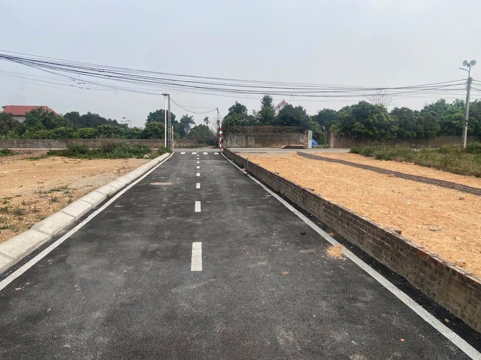 Đất nền Cẩm Lĩnh, Ba Vì 114.8m² giá chỉ 500 triệu - Cơ hội đầu tư hiếm có!