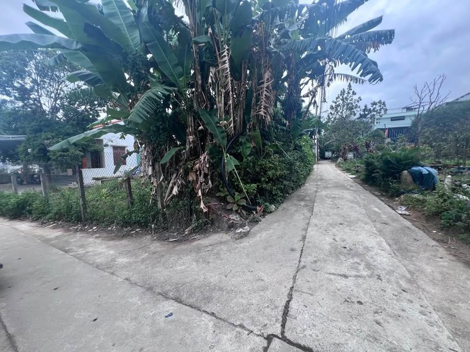 Lô đất kiệt ô tô Trường Chinh Đà Nẵng 61m² giá 2.45 tỷ - Đầu tư sinh lời tuyệt vời!