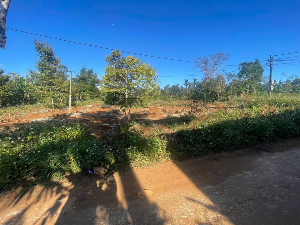 Đất nền 2 lô liền kề hẻm cấp 1 Cuôr Đăng 150m² giá 495 triệu - Pháp lý rõ ràng