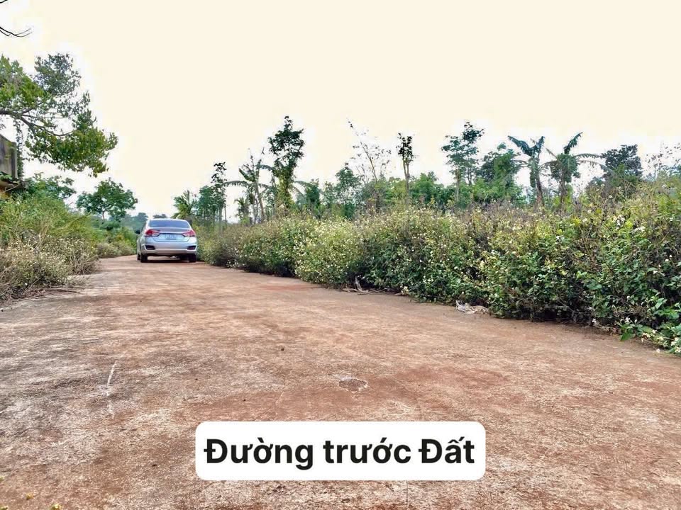 Đất nền Ea Ning, Cư Kuin, Đắk Lắk 850m² giá 930 triệu - Siêu phẩm view hồ tuyệt đẹp!