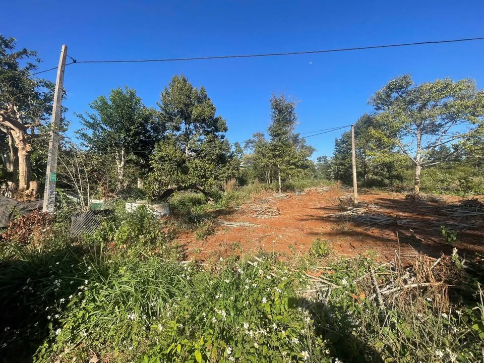 Đất nền Hòa Thuận, Buôn Ma Thuột 150m² giá 495 triệu - Sổ đỏ chính chủ!