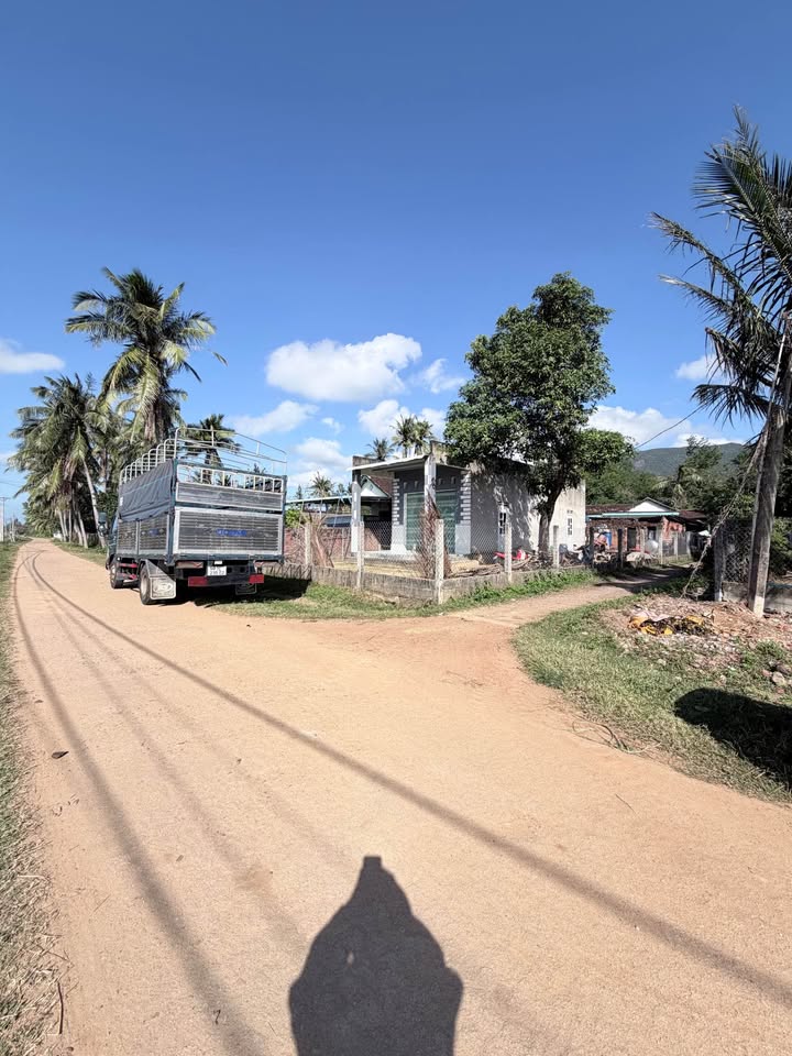 Đất thổ cư 250m² tại Thôn Gia Hội, Phù Mỹ chỉ 100 triệu - Cơ hội đầu tư tuyệt vời!