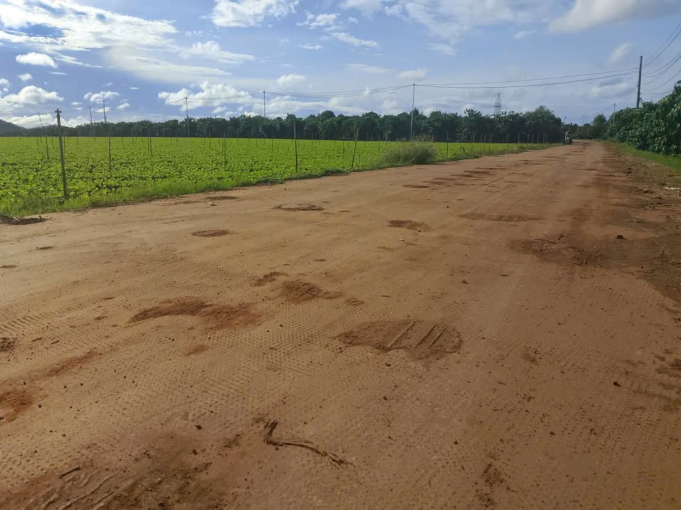 Đất Khu Làng Chùa Đại Ninh Đức Trọng 4.800m² giá 4.08 tỷ - Cơ hội đầu tư hấp dẫn!