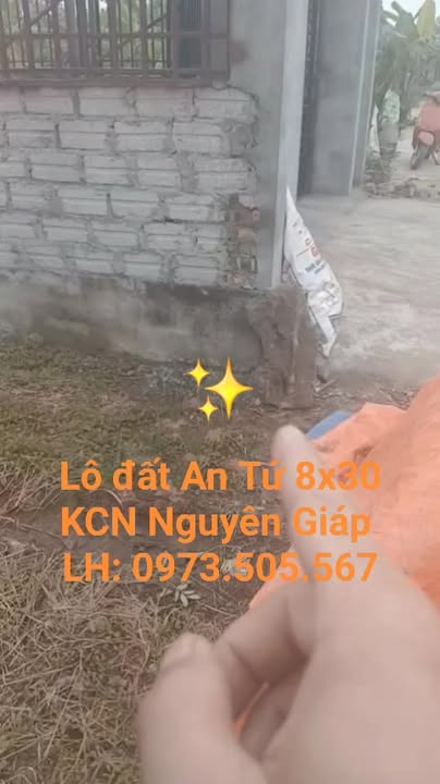 Bán lô đất tại Xã Quang Trung, Huyện Tứ Kỳ, Hải Dương - Diện tích 244m², giá tốt