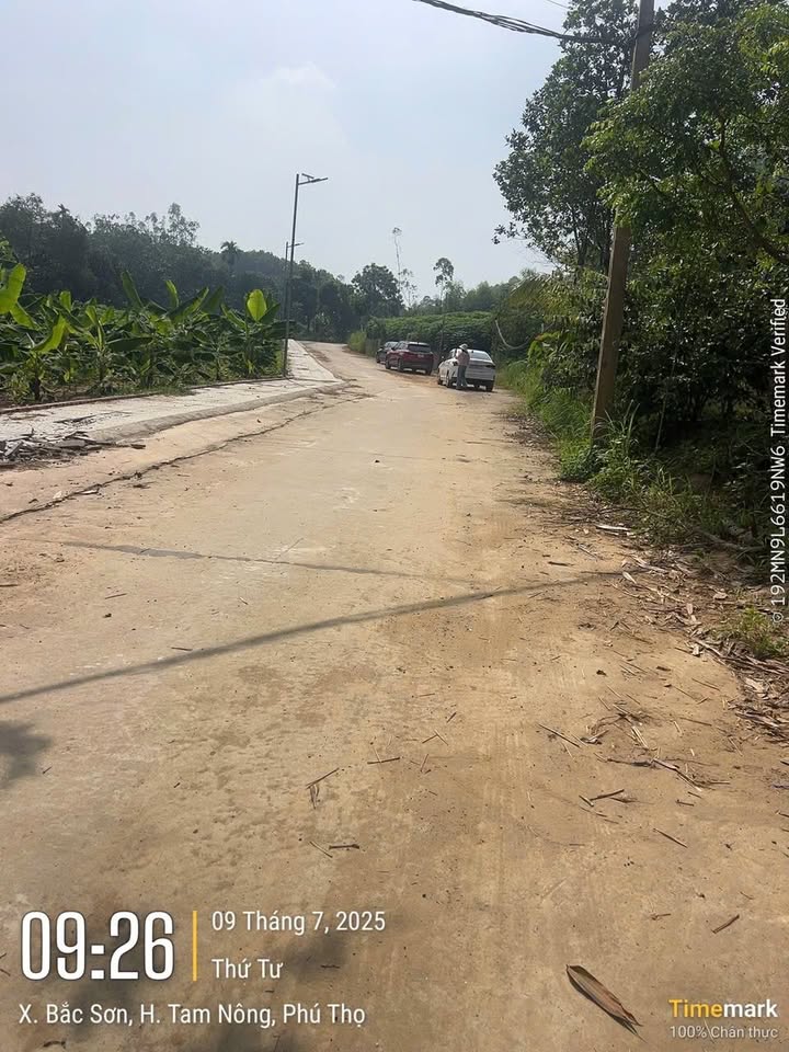 Lô đất thổ cư Tân Phú 182.6m² giá chỉ 300 triệu - Cơ hội đầu tư tuyệt vời!