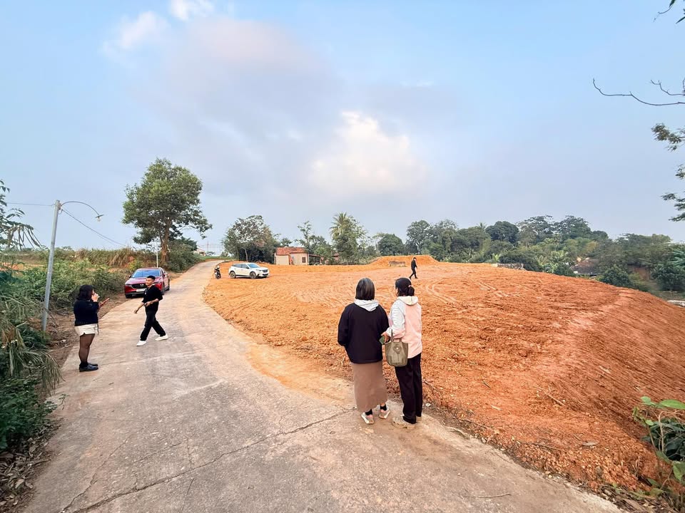 Lô đất 97m² Khu 7, Thanh Đình, Việt Trì giá 800 triệu - Đầu tư sinh lời!