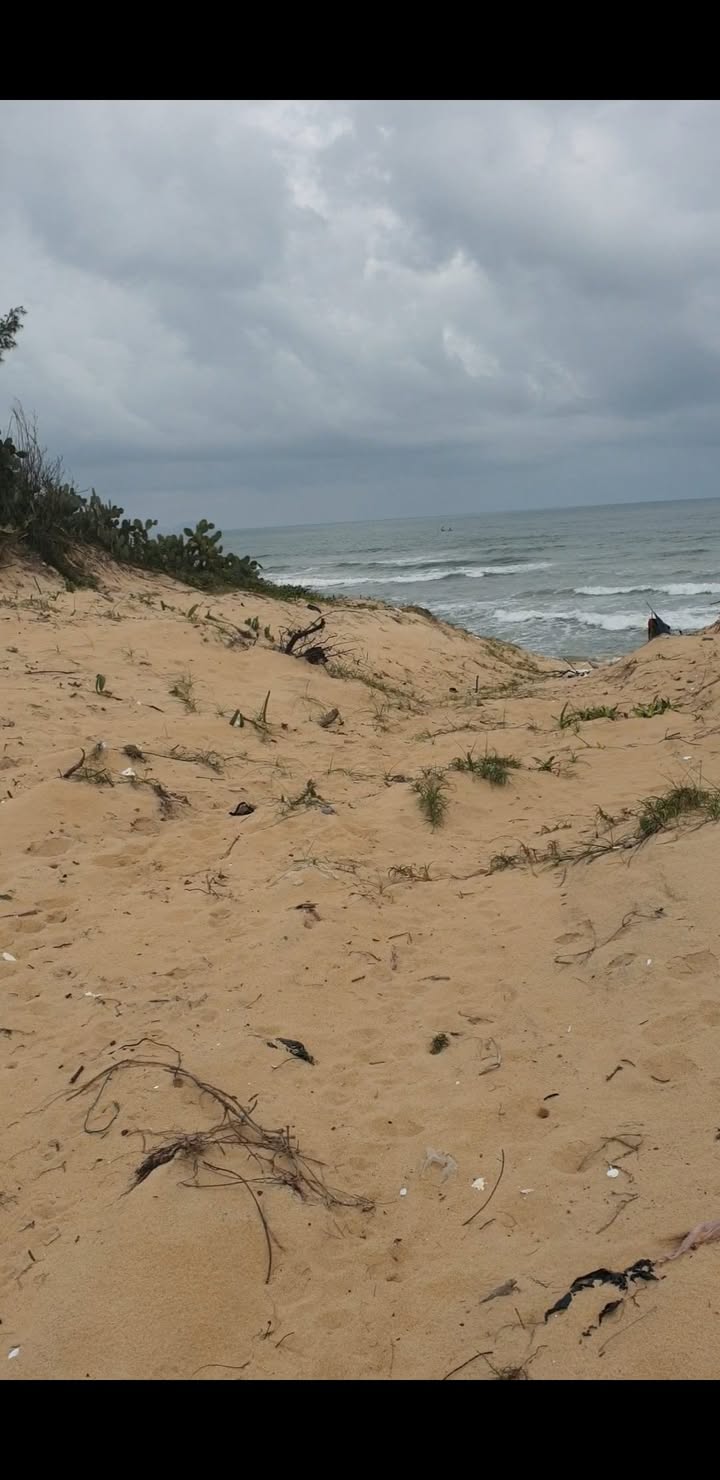 Đất thổ cư 1200m² mặt biển Thăng Trường - Đà Nẵng chỉ 5 tỷ, cơ hội đầu tư tuyệt vời!