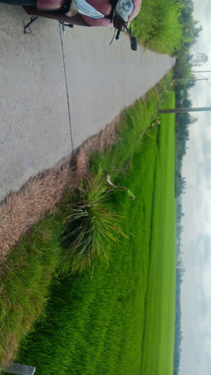 Đất ruộng ấp Sóc Cung, Rạch Giá, 43.960m² - Giá chỉ 9.231 tỷ!