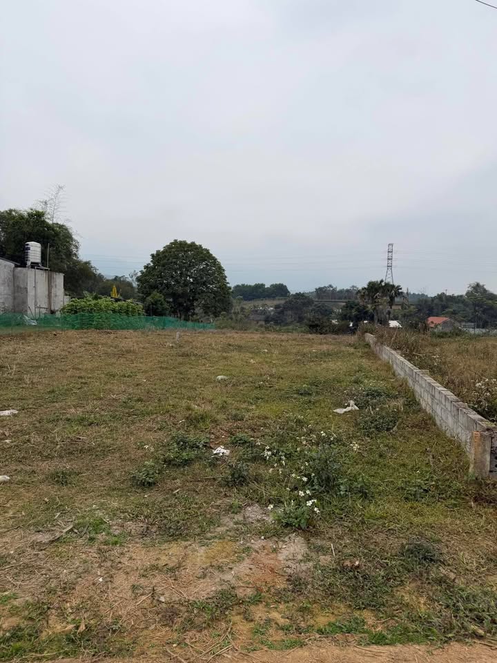 Đất nền Xã Tu Vũ 153m² giá 700 triệu - Sổ đỏ chính chủ, ô tô tránh nhau!