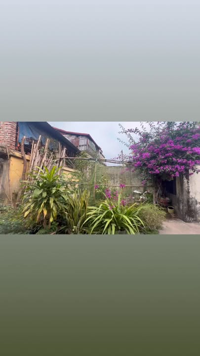 Đất thổ cư 163m² mặt tiền 6m tại Phường Phương Lâm - Giá 1.5 tỷ hấp dẫn!