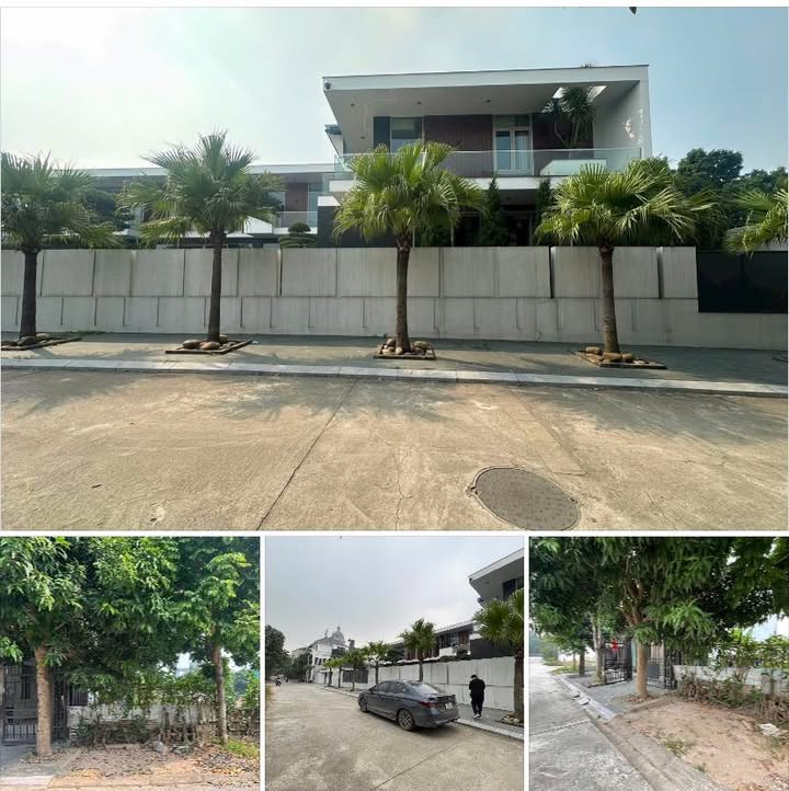 Đất nền Nguyễn Tất Thành, Việt Trì 100m² giá 6 tỷ - Vị trí hiếm có ngay trung tâm!