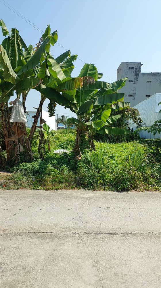 Đất nền Ấp Sua Đũa, Xã Vĩnh Hòa Hiệp 115m² giá thỏa thuận - Cơ hội đầu tư hấp dẫn!