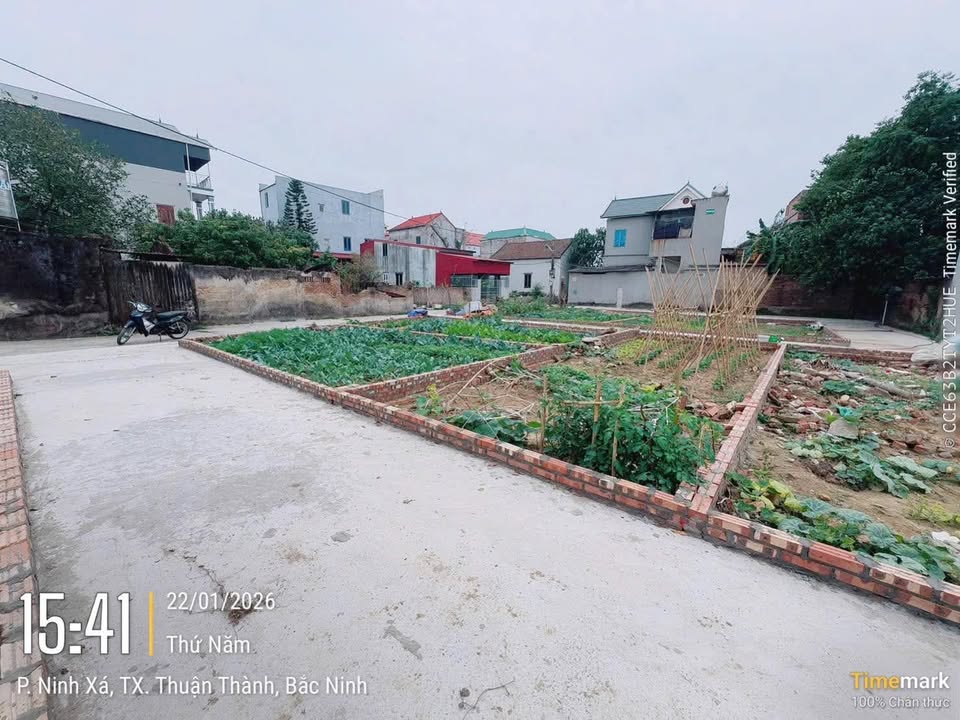 Đất thổ cư khu phố Đông Cốc, phường Song Liễu, Bắc Ninh 46.2m² - Sổ đỏ lâu dài, giá chỉ 1 tỷ!