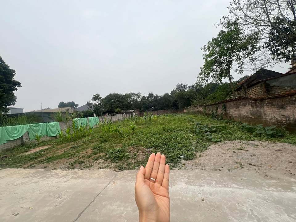 Đất nền Sơn Đông, Sơn Tây 611m² giá 6.11 tỷ - Đầu tư sinh lời ngay!