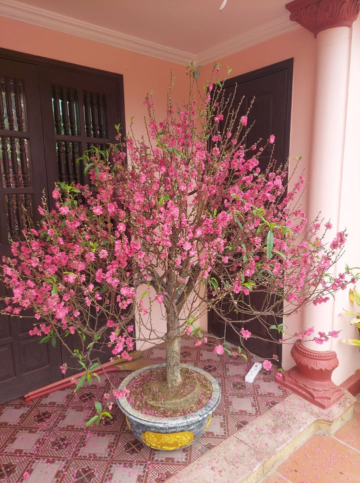 Nhà cho thuê 70m² tại phường Đồng Hoà, quận Kiến An - Phù hợp cho gia đình