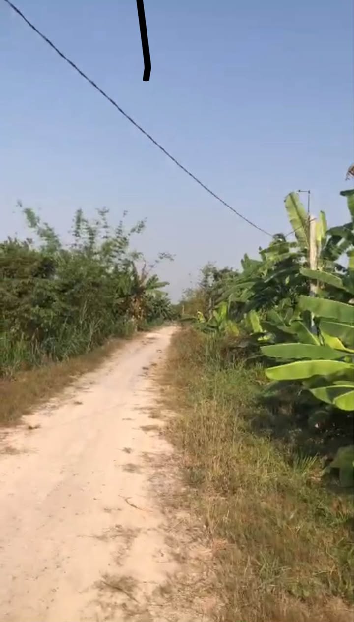 Đất nền 677.5m² tại Ấp Năm, Hòa Thành - Giá chỉ 500 triệu VND - Cơ hội đầu tư tuyệt vời!