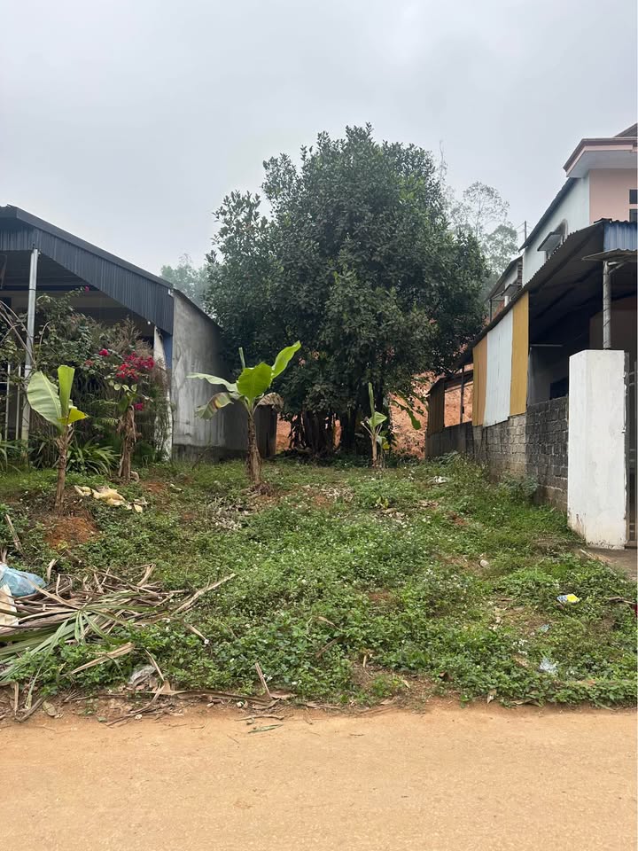 Đất nền thổ cư Phú Hộ 120m² giá chỉ 1 tỷ - Đầu tư sinh lời tốt!