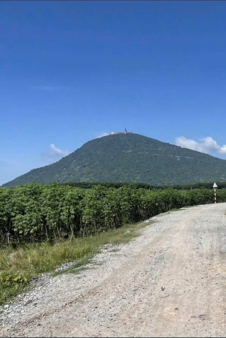 Đất nền Suối Đá, Dương Minh Châu 1000m² giá chỉ 199 triệu - Cần bán gấp trước Tết!