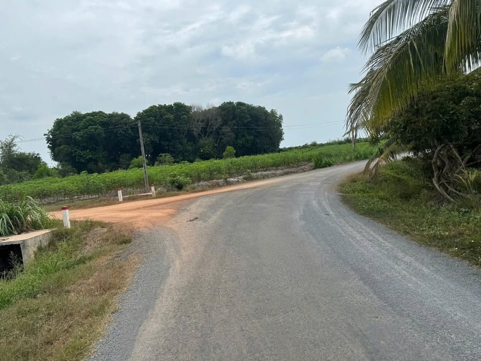 Đất mặt tiền đường Nguyễn Lương Bằng, Phường Long Hoa, 1081m² giá 32.21 tỷ - Đầu tư sinh lời ngay!