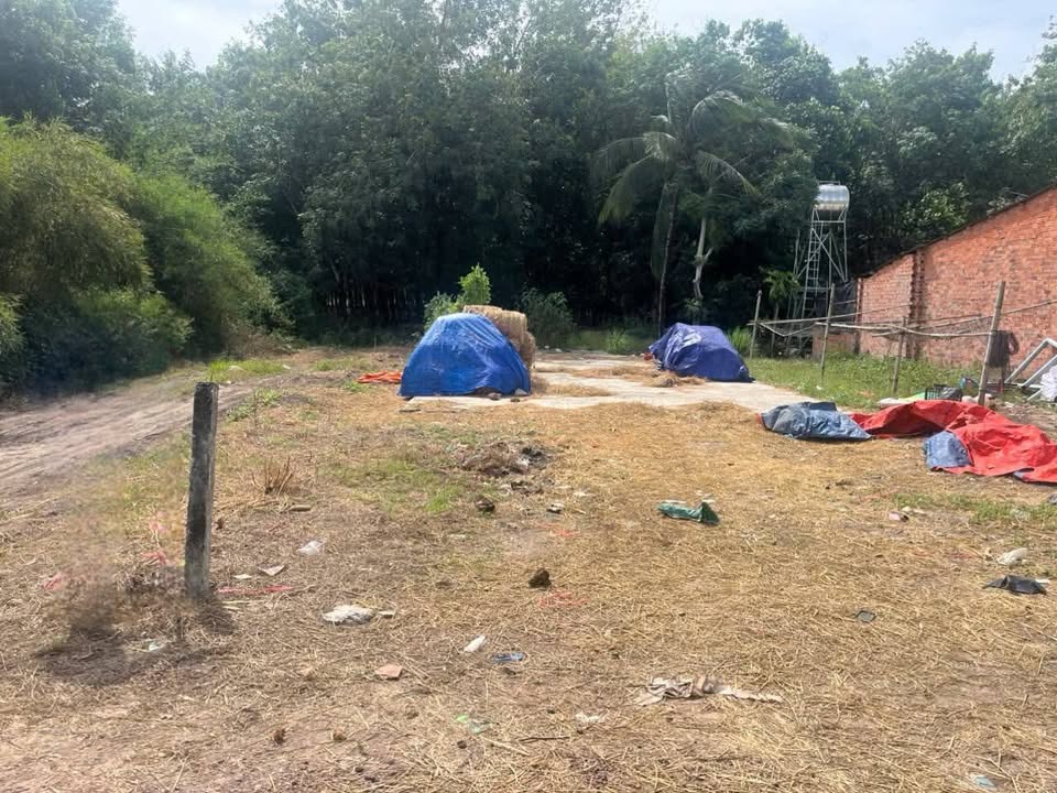 Đất thổ cư xã Tân Phú, huyện Tân Châu, 165m² - Giá tốt, chính chủ bán gấp!