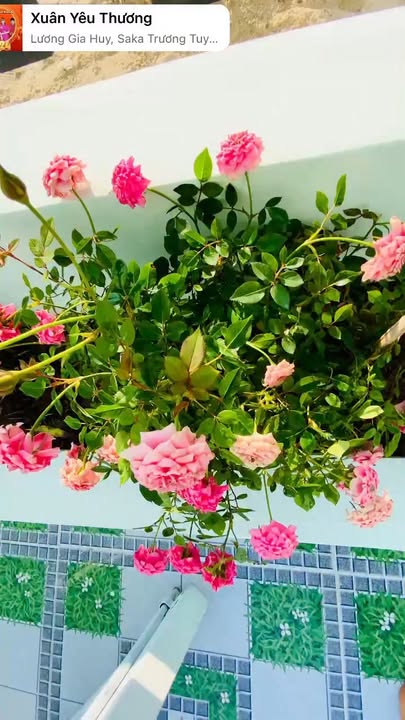 Nhà mới hoàn thiện Hẻm 28 Trần Phú, 81m² giá 1.068 tỷ - Chính chủ bán gấp!