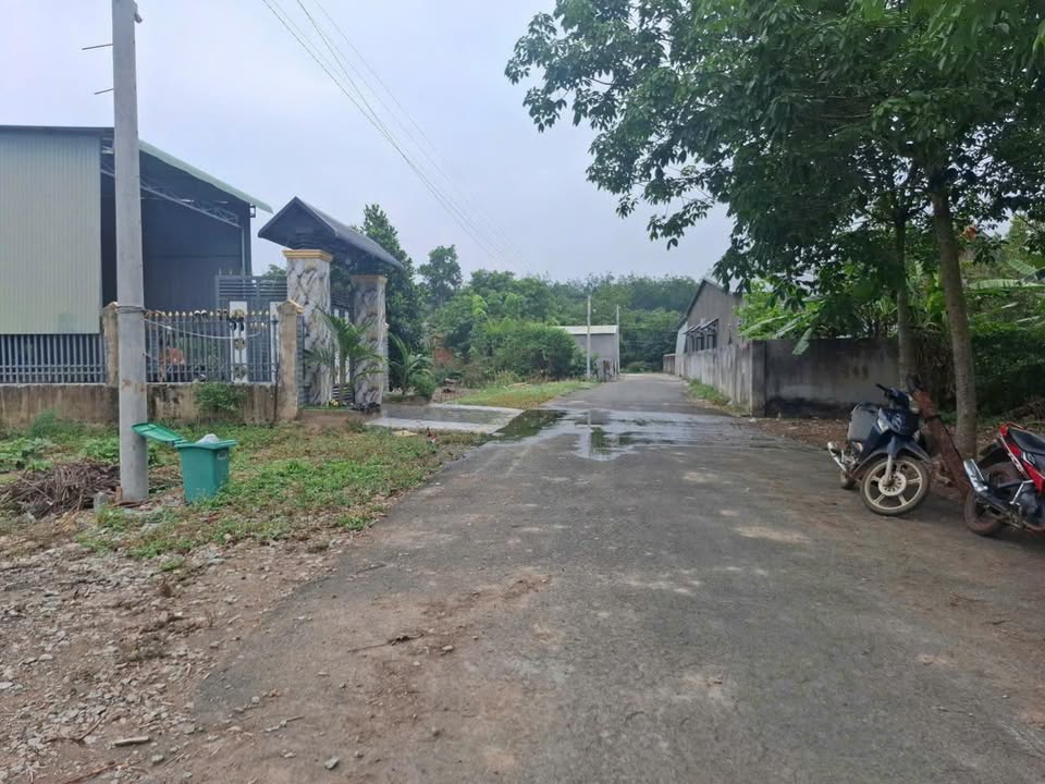 Đất nền Tiến Hưng Đồng Xoài 232m² giá 520 triệu - Đầu tư sinh lời ngay!