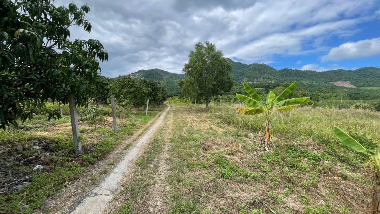 Đất Farm Vĩnh Phương Nha Trang 1,09ha giá 6,5 tỷ – Cơ hội đầu tư tuyệt vời!