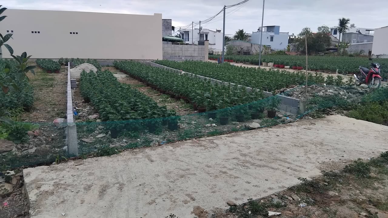 Đất thổ cư Diên Toàn, Diên Khánh - 134m² chỉ 2.29 tỷ - Cơ hội đầu tư tuyệt vời!