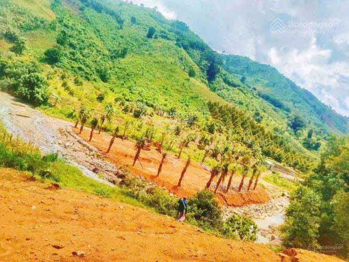 Đất trồng cây 1500m² tại Ba Cụm Bắc, Khánh Sơn giá 668 triệu - Cơ hội đầu tư tuyệt vời!