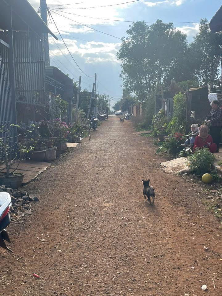 Đất thổ cư xã Đak Đoa 258m² giá chỉ 950 triệu - Cơ hội vàng cho nhà đầu tư!