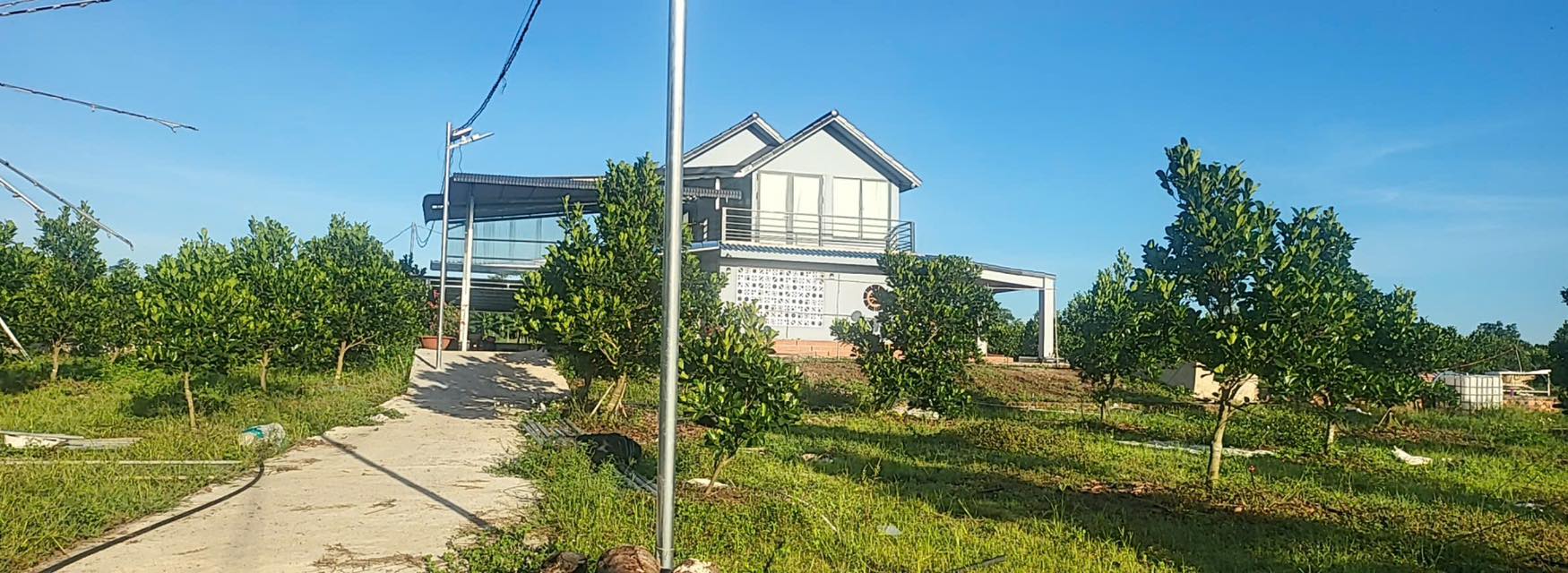 Đất vườn Cẩn Mỹ, Đồng Nai 31000m² giá 22.63 tỷ - Pháp lý rõ ràng, cơ hội đầu tư hấp dẫn!