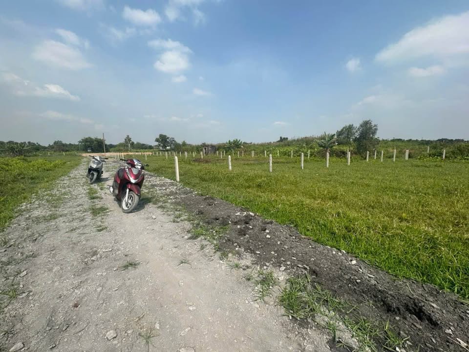 Đất vườn 501m² tại xã Bình Mỹ, Củ Chi chỉ 1.35 tỷ - Cơ hội đầu tư hấp dẫn!