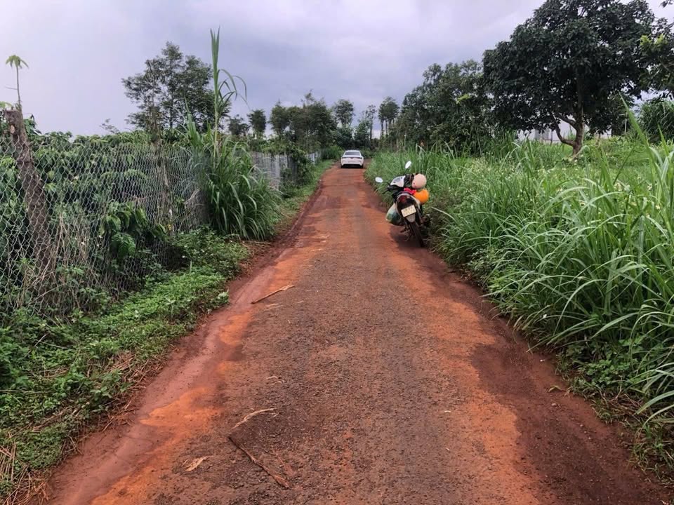 Đất thổ cư 360m² tại Thuận Hà, Đắk Song chỉ 339 triệu - Cơ hội đầu tư tốt!