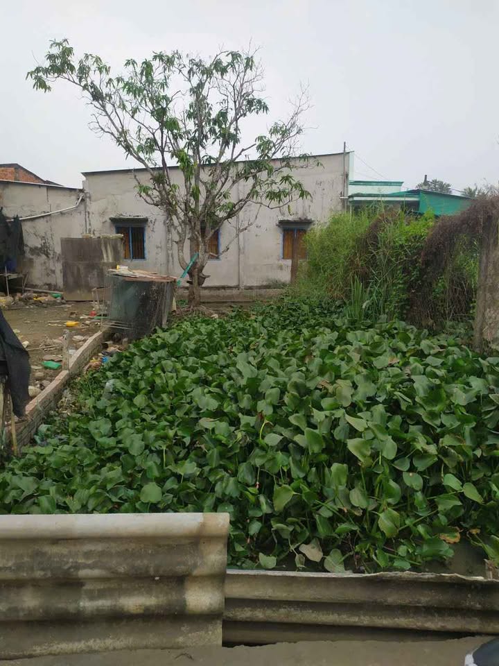 Đất nền xã Tân Quý Tây, Bình Chánh 80m² giá 1.8 tỷ - Đầu tư sinh lời ngay!