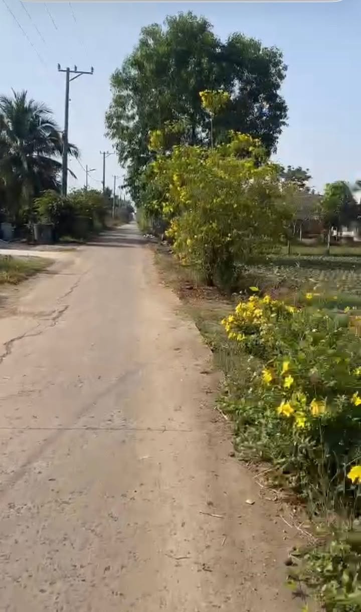 Đất thổ cư mặt tiền đường bê tông Xuân Phú 896m² giá 10.257 tỷ - Cơ hội đầu tư hấp dẫn!