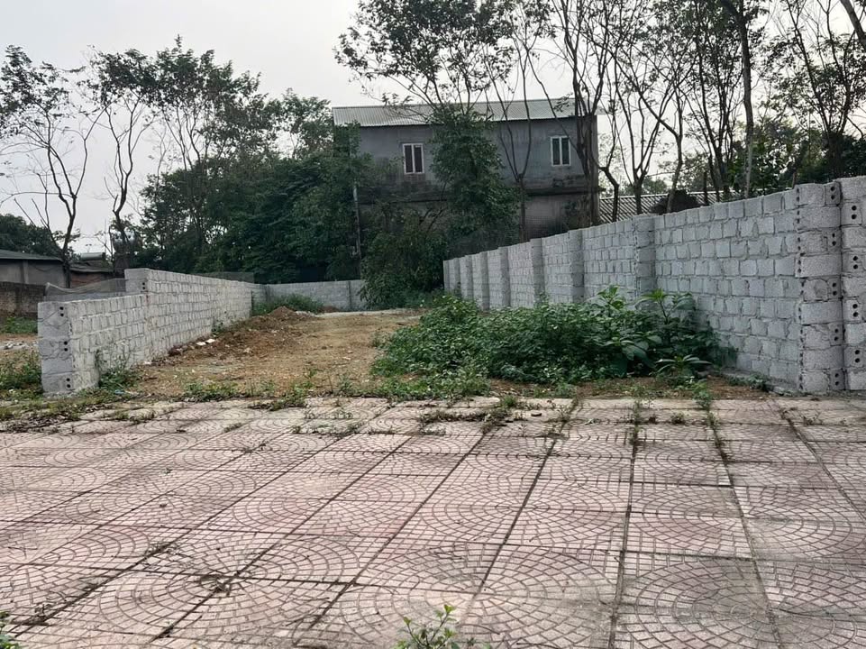 Đất nền Thôn Cẩm Trạch, xã Tam Dương, 120m² giá 3 tỷ - Cơ hội đầu tư tốt!