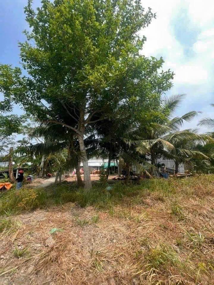 Đất nền xã Trường Thắng, huyện Thới Lai, 110m² giá 390 triệu - Đầu tư sinh lời cao!