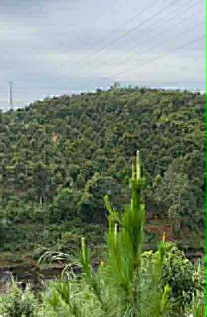 Đất mặt tiền đường tránh Gia Nghĩa 5702m² giá 5 tỷ - Tiềm năng đầu tư lớn!