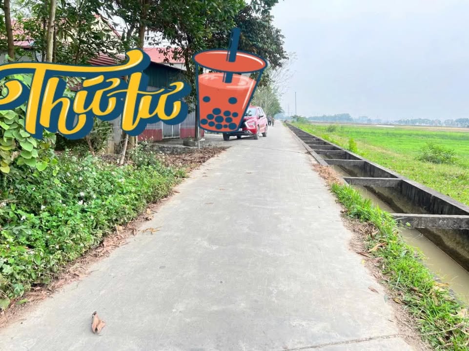 Đất thổ cư Dân Lý, Triệu Sơn 154m² giá tốt - View cánh đồng thoáng đãng!