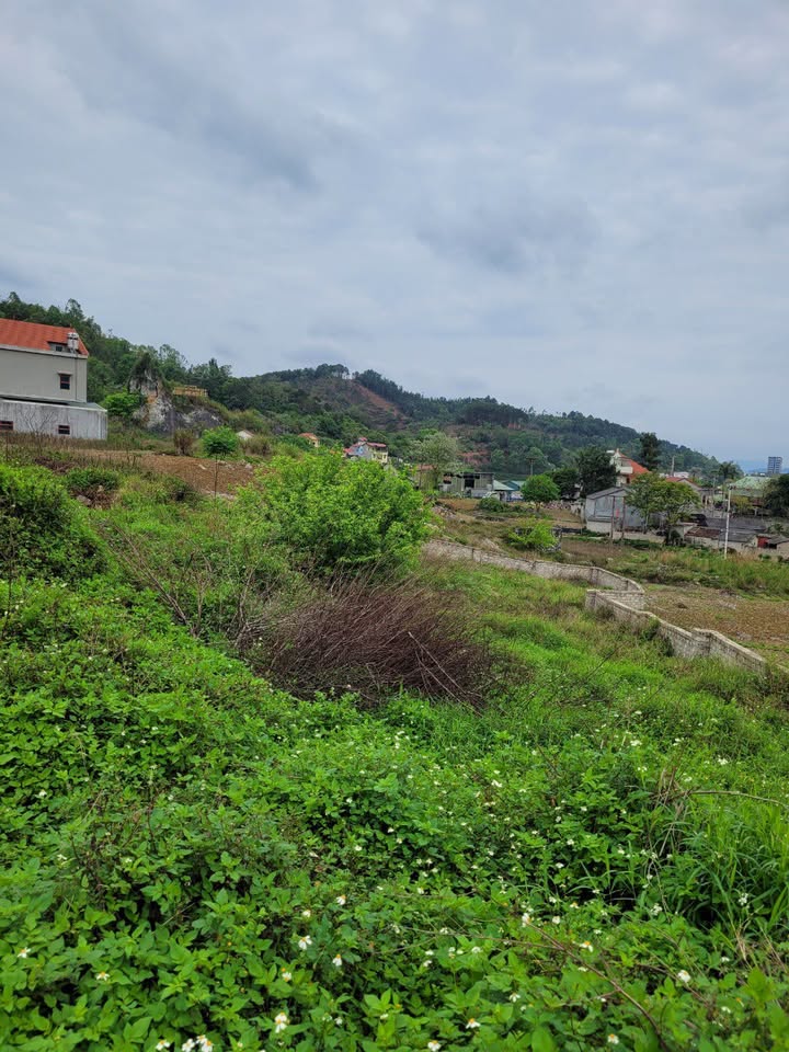 Đất rừng sản xuất Yên Trạch 700m² giá chỉ 3 triệu/m² - Cơ hội đầu tư hấp dẫn!