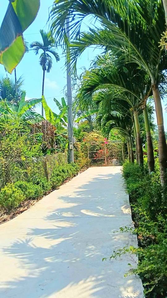 Đất thổ cư 76m² tại ấp Đồng Trung An, TP Mỹ Tho giá 410 triệu - Đầu tư sinh lời ngay!