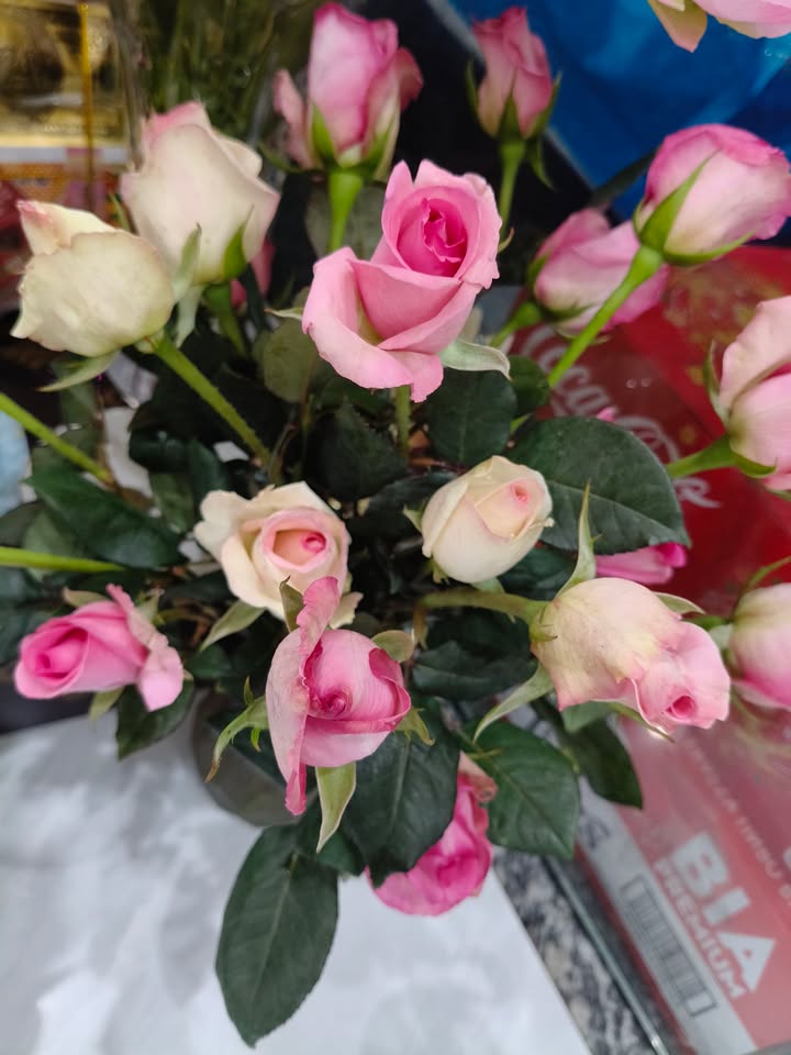 Căn hộ tầng 3 khu cũ An Đồng 63m² giá 1.4 tỷ - Sẵn sàng sang tên ngay!