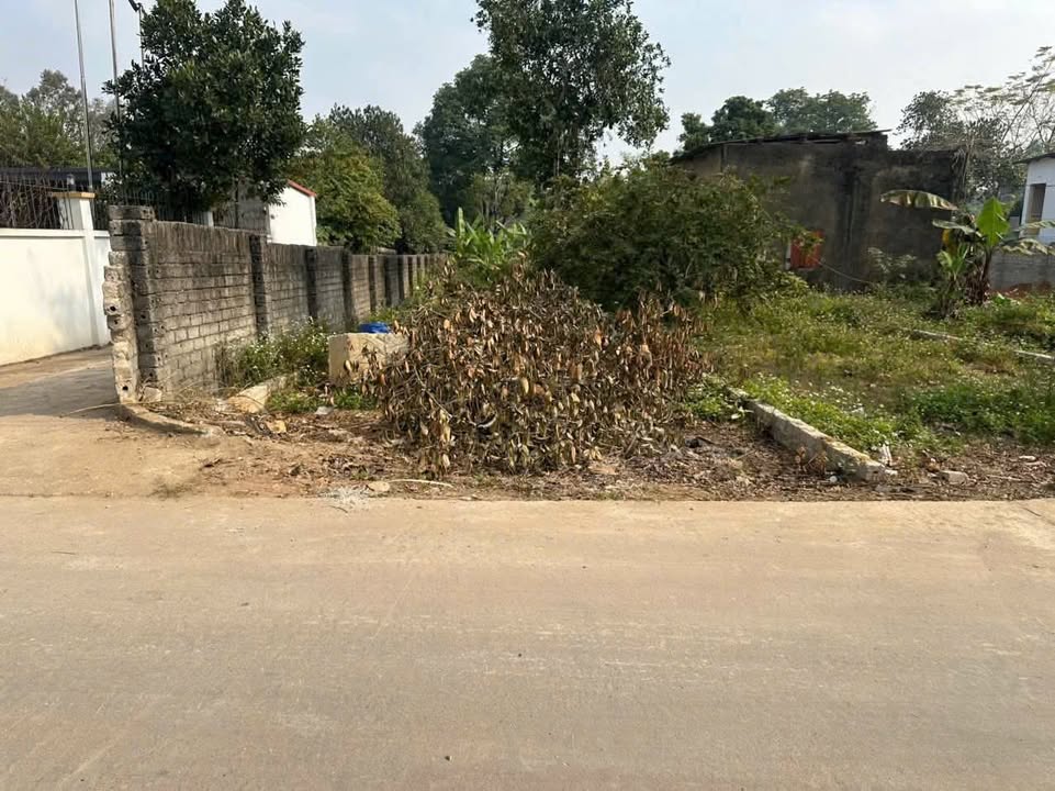 Đất nền 124m² Thị xã Thuận Thành giá 1 tỷ - Cần bán gấp!