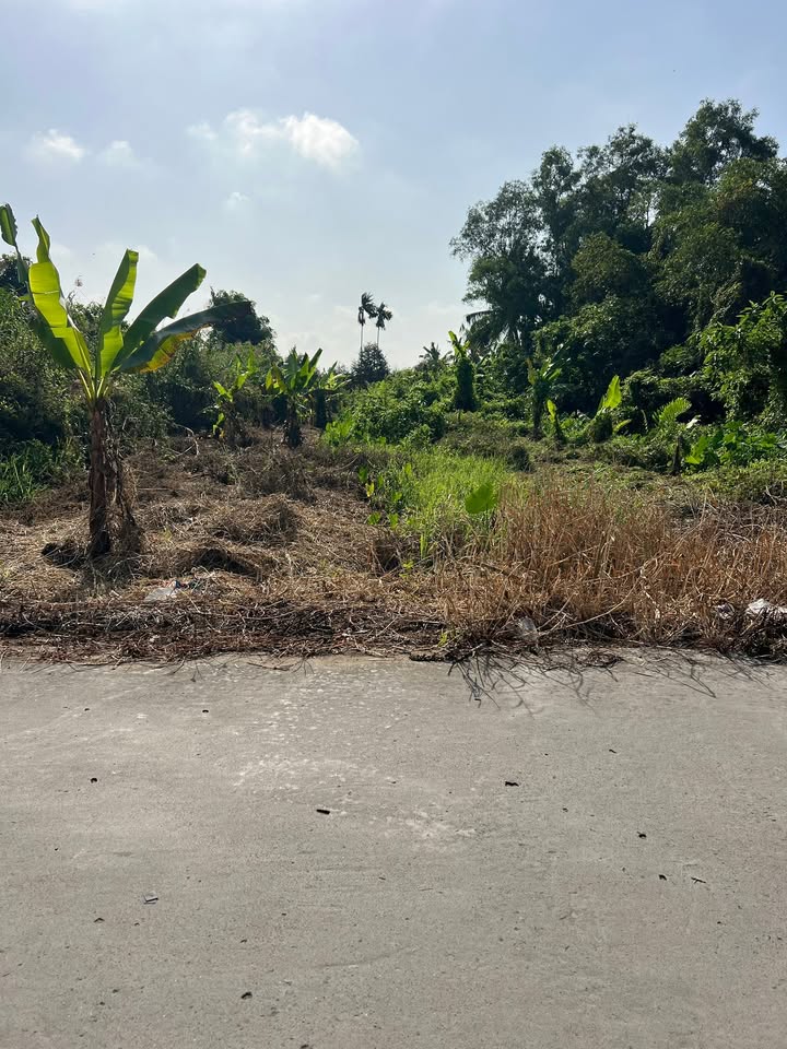 Đất nền mặt tiền đường GTNT Vàm Xáng Ba Láng, 1770m² giá 4.7 tỷ - Cơ hội đầu tư hấp dẫn!